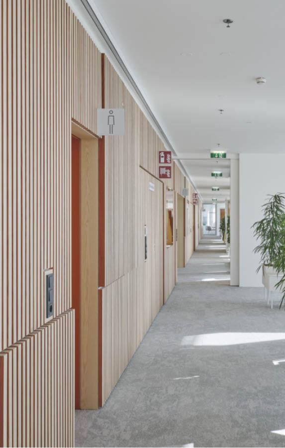 Ergoconsult cloison2