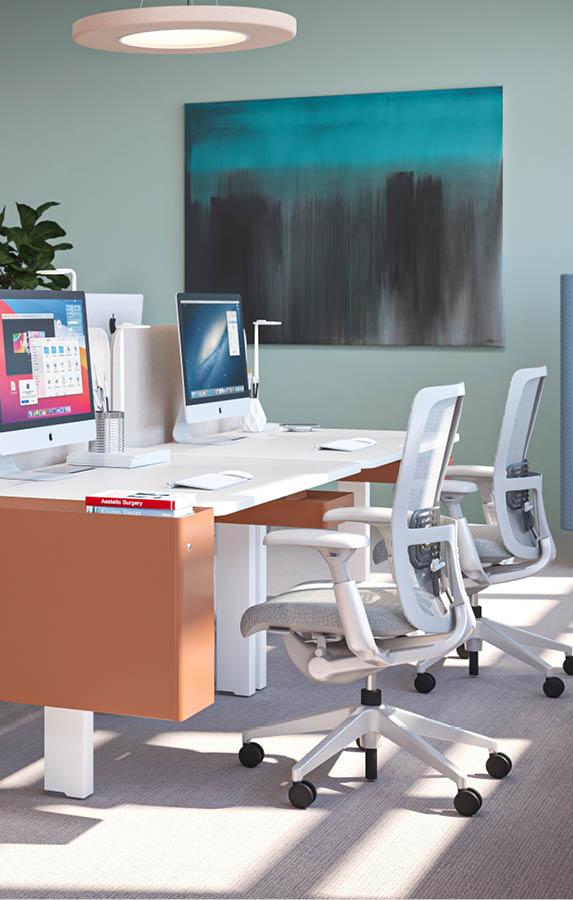 Ergoconsult mobilier de bureau3